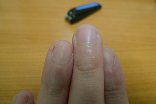 P1100427.JPG